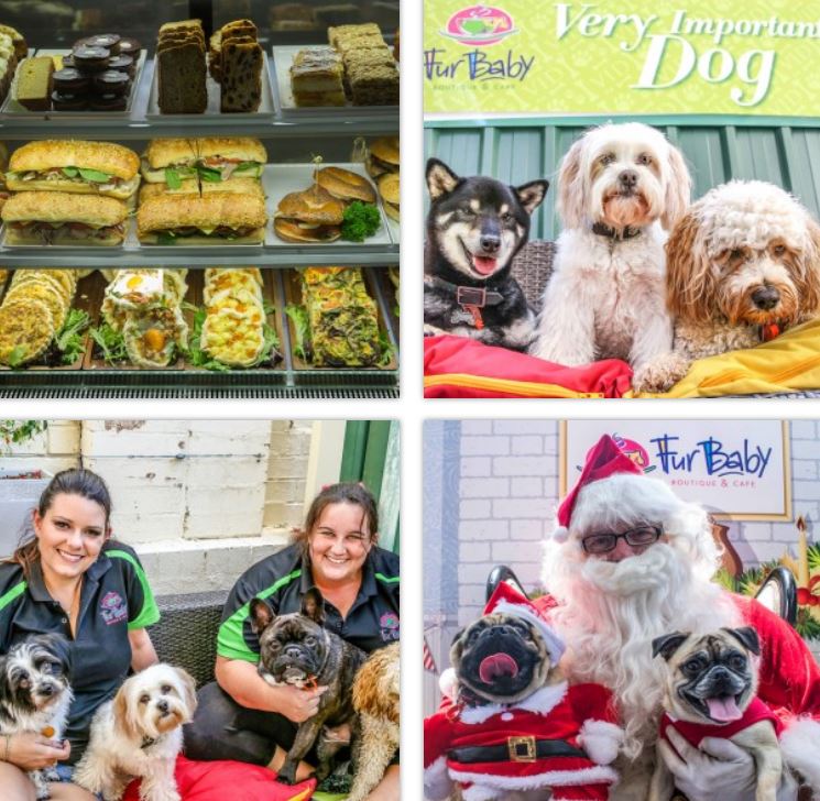 Furbaby Boutique & Cafe – Dog Friendly Cafe in Perth