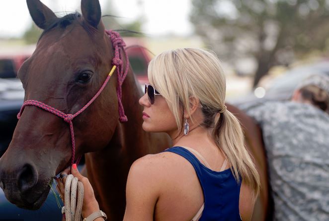 Warning Signs of Infectious Horses Diseases