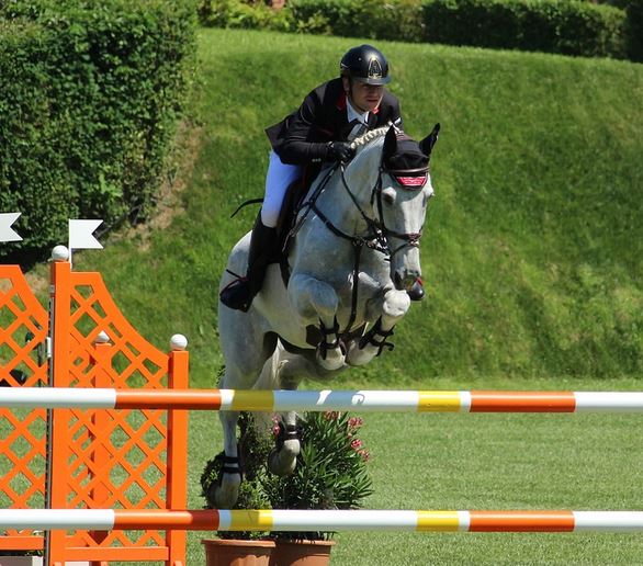 Getting Started in Show Jumping