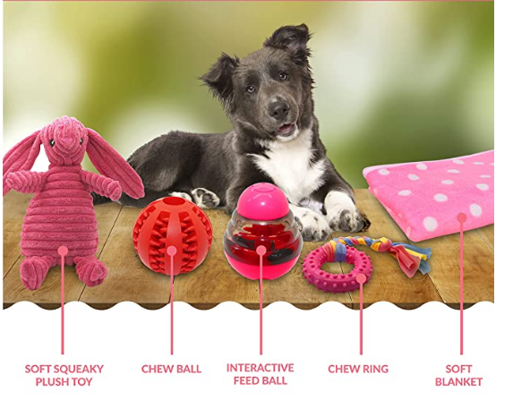 Why Do Dogs Love To Chew? | Benefits Of Chew Toys For Dogs